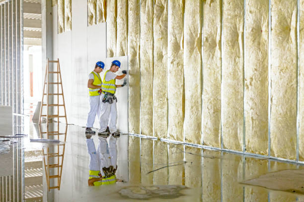 Best Insulation for New Construction  in Mankato, MN